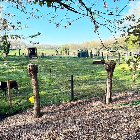 Hoeve Hooierzele Waasmunster Esterno foto