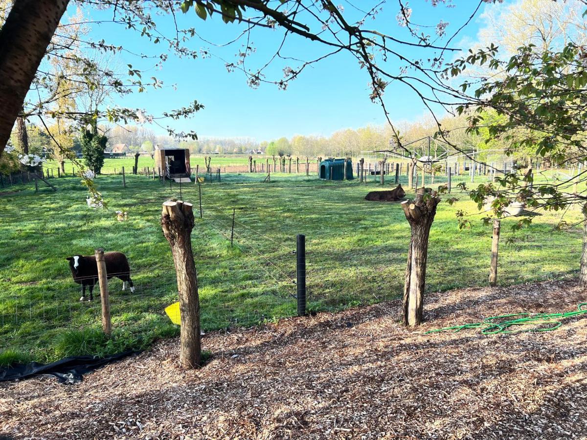 Hoeve Hooierzele Waasmunster Esterno foto