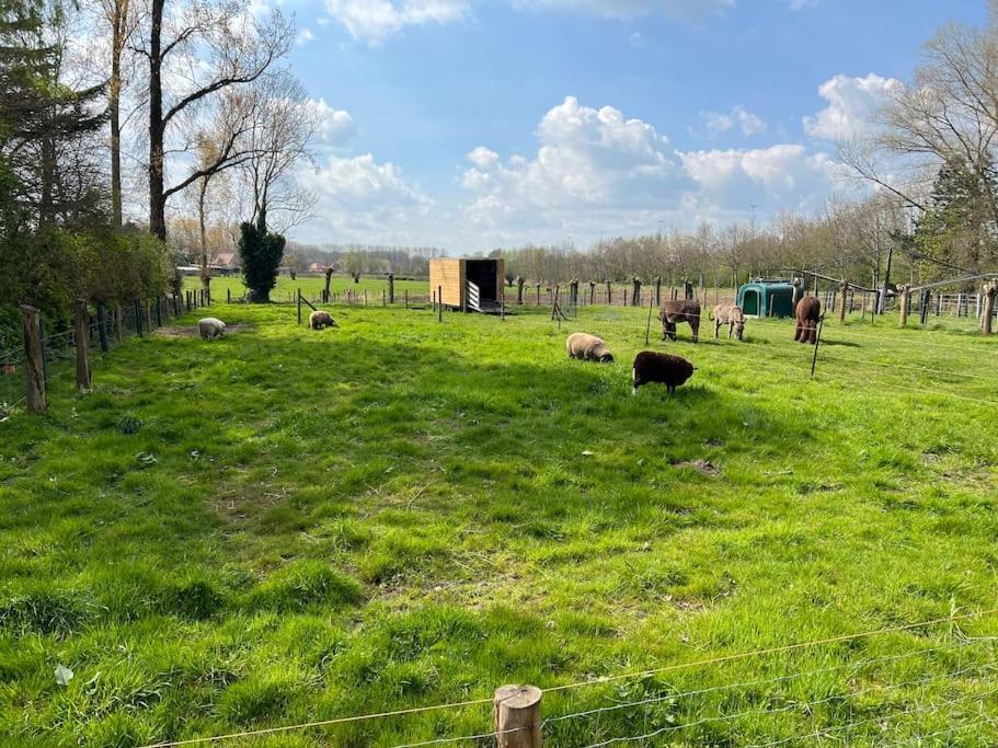 Hoeve Hooierzele Waasmunster Esterno foto